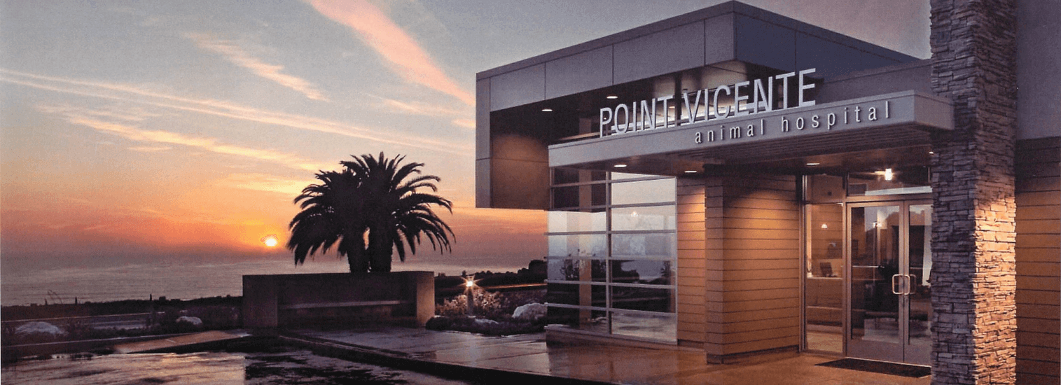 banner1