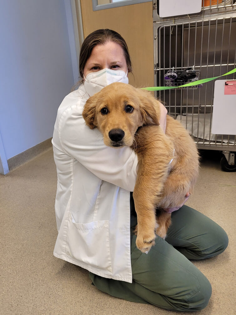Rancho Palos Verdes California Veterinarians