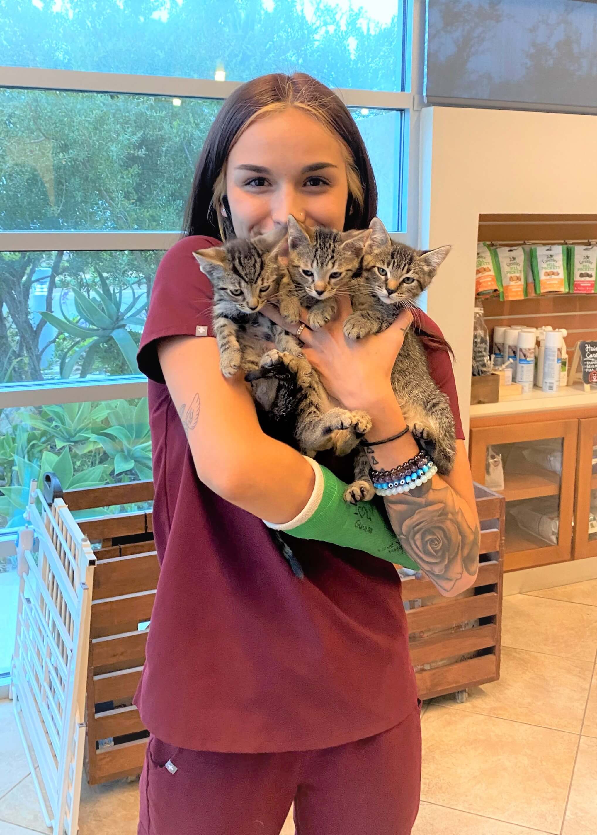 Receptionist-with-kitten