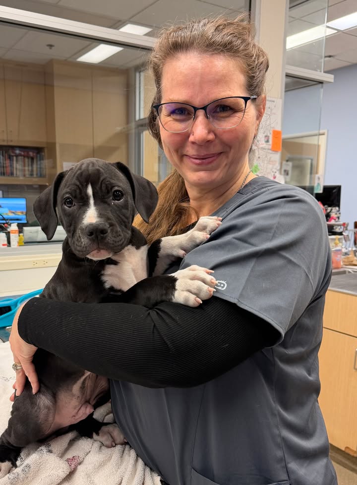 Patricia -  practice manager at Point Vicente Animal Hospital