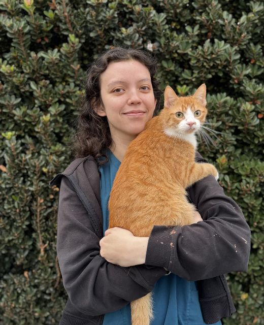 Amy Taylor a CSR at Point Vicente Animal Hospital