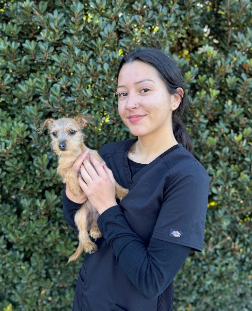 Karla A Kennel Technician at Point Vicente Animal Hospital