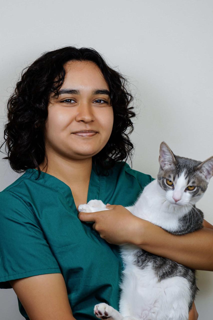 Alyssa Bautista, Veterinary Assistant at Point Vicente Animal Hospital in Rancho Palos Verdes, CA