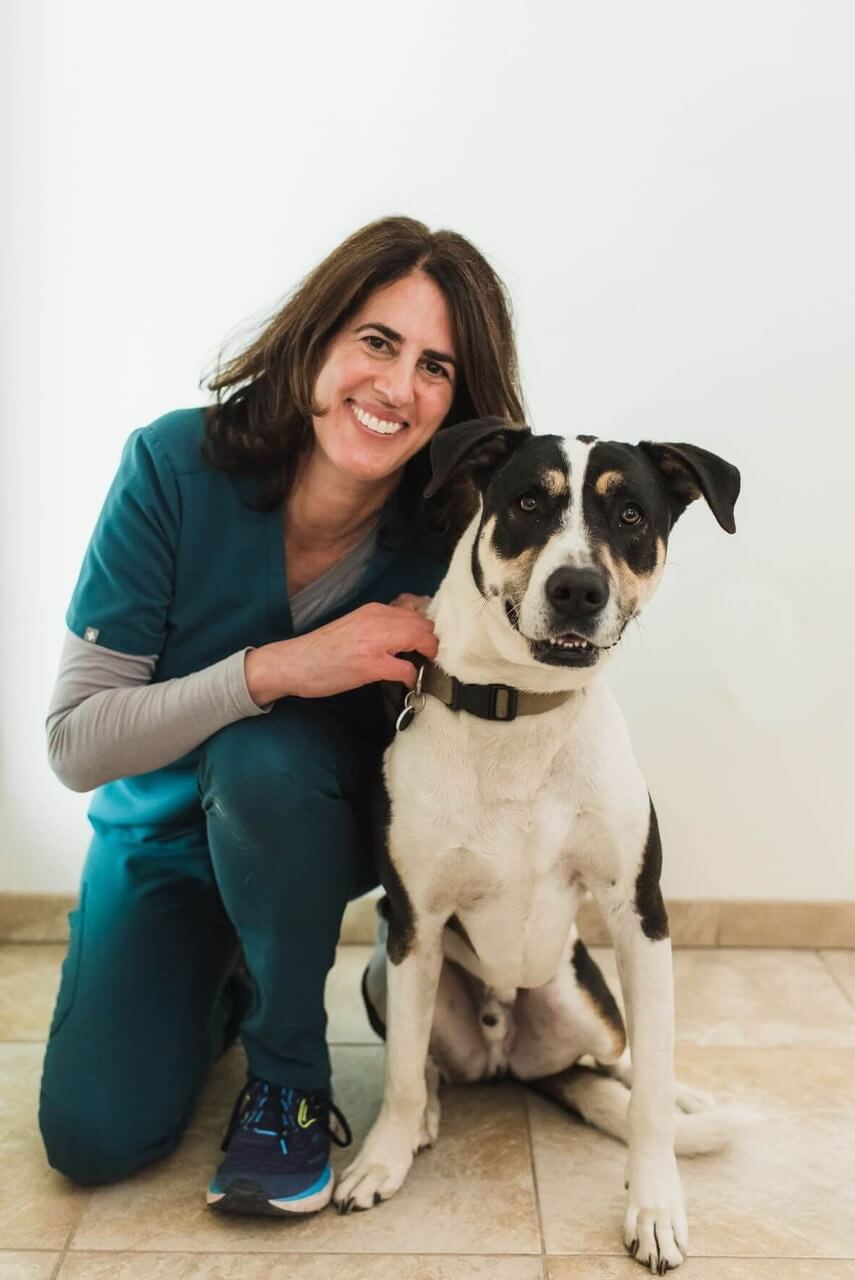 Dr. Amy Bednarek, Medical Director/Partner at Point Vicente Animal Hospital in Rancho Palos Verdes, CA