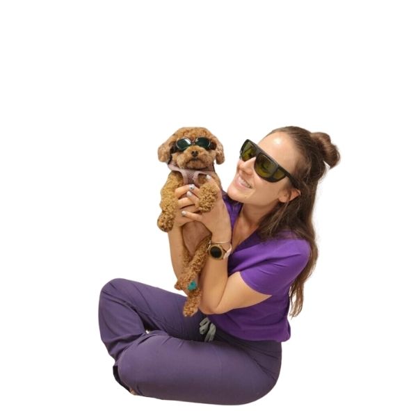 Laser Therapy at Point Vicente Animal Hospital