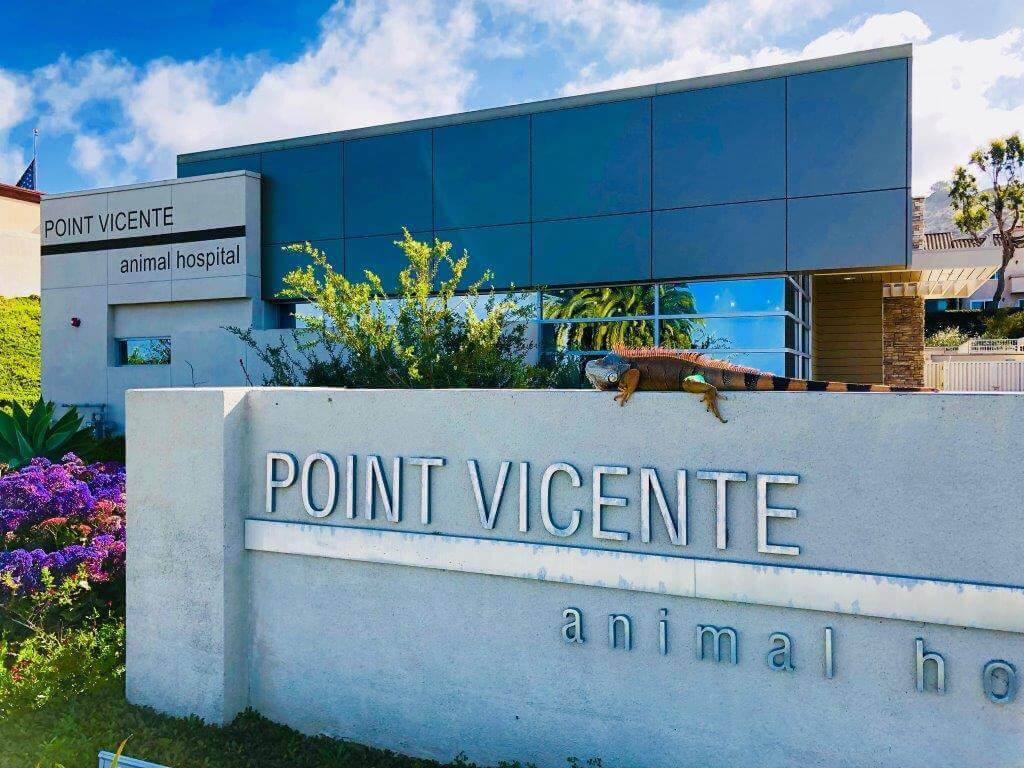 About Us Point Vicente Animal Hospital