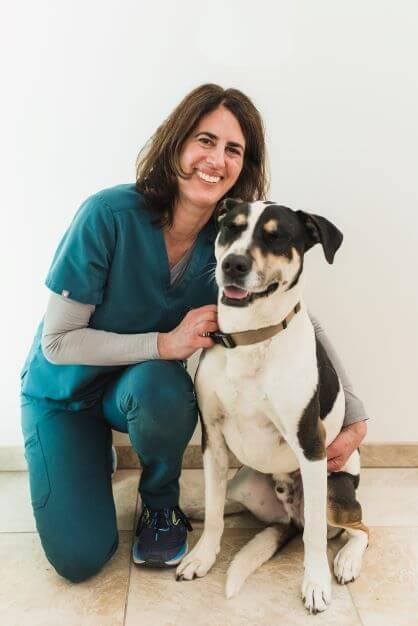 Caring-Dog-Vet