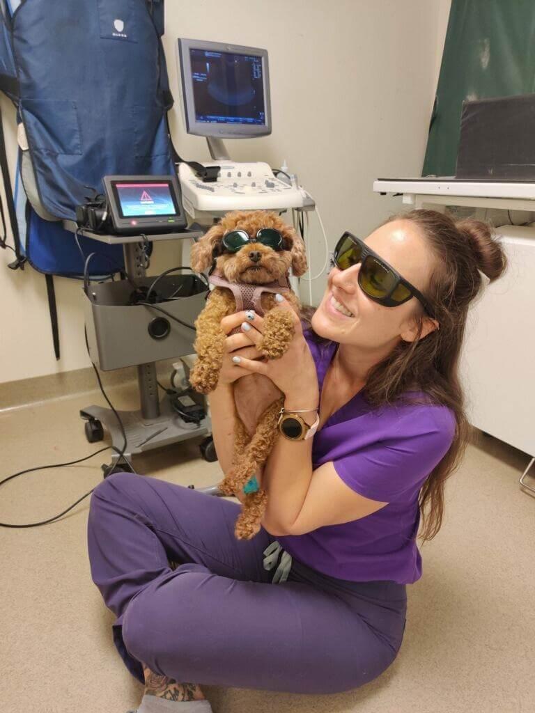 Laser-Therapy-for-dogs