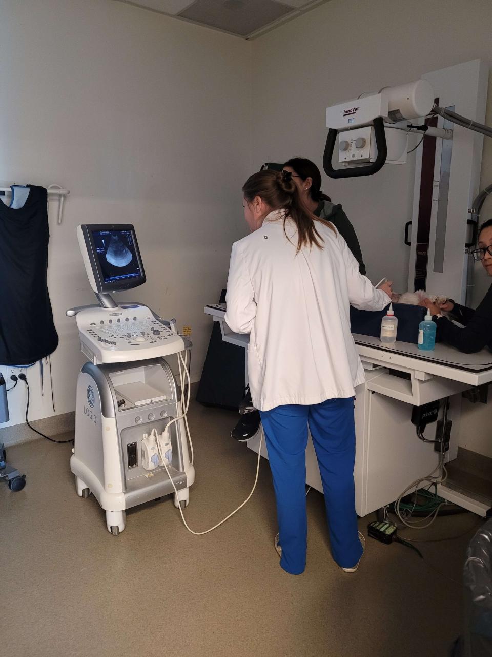 Ultrasound
