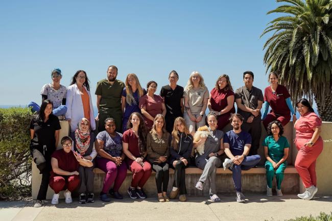 PVAH Team
