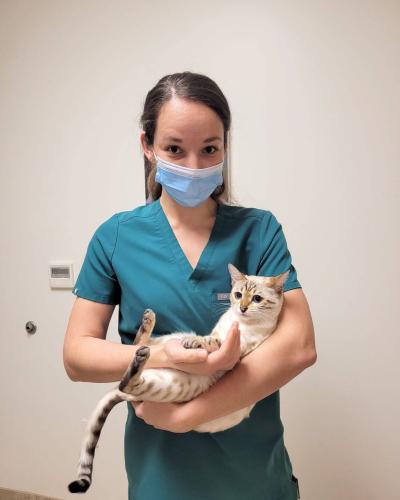 Point Vicente Animal Hospital - Rancho Palos Verdes Veterinarians