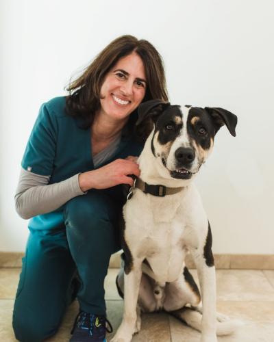 Point Vicente Animal Hospital Rancho Palos Verdes Veterinarians