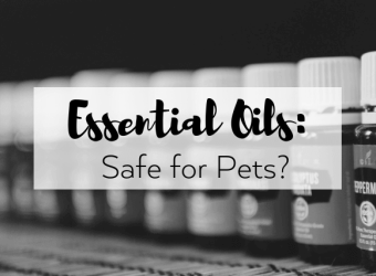Are Essential Oils Safe for Pets?