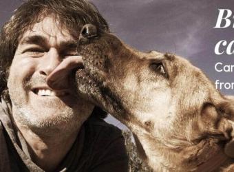 Exploring Brucella canis, a Contagious Dog Disease that People Can Get