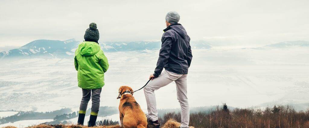 taking your dog hiking